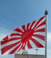 旭日旗为什么不能挂（为什么禁止日本