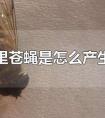 家里苍蝇多是什么原因(家里苍蝇多