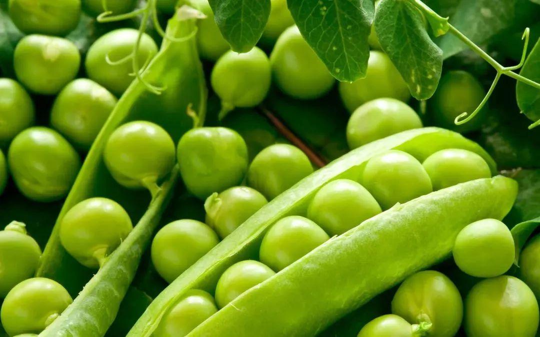 豌豆的营养价值与食用功效，豌豆的好处和功效