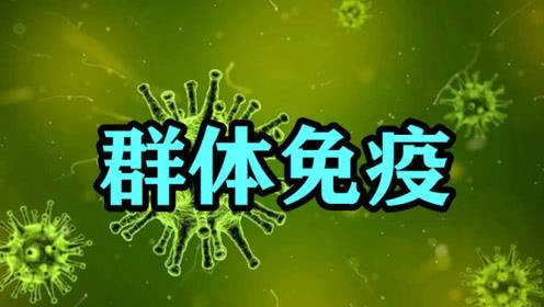 春节会形成群体免疫吗，中国会群体免疫吗