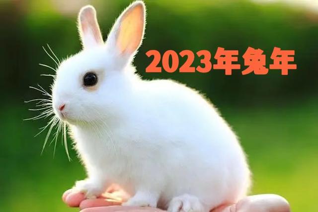 今年是什么年2023年属什么年，2023年属啥生肖