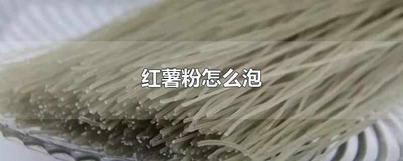 红薯粉用开水泡还是冷水泡好，干红薯粉用冷水泡还是热水泡