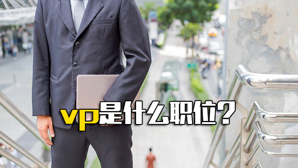 vp是什么职位的缩写，一个公司的vp是什么级别