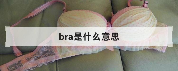 bra是啥意思呀（网络bra什么意思）