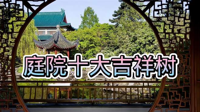 庭院十大吉祥树排名（庭院栽什么树最
