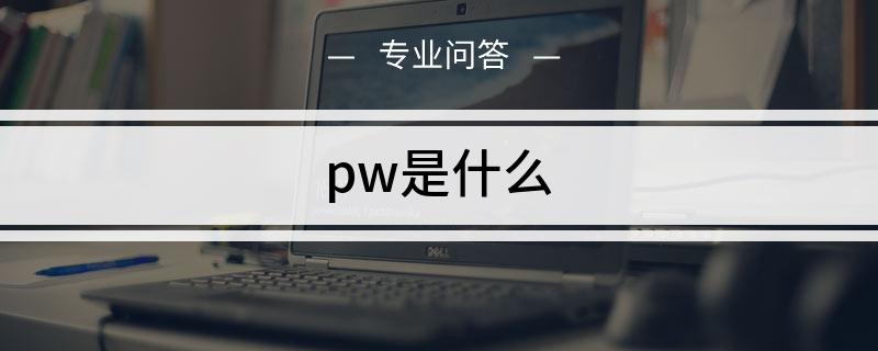 pw是什么意思网络用语（pw代表什么）
