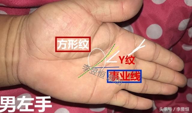 y纹是什么意思，y纹的含义 