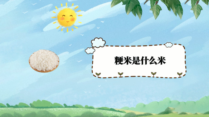 粳米是什么米 ,粳米是平时吃的大米吗 