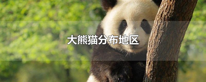 大熊猫的分布地区有哪些地方（大熊猫