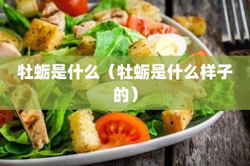 牡蛎是什么海鲜东西，牡蛎是不是就是生蚝 