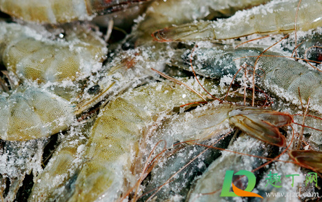 南美冻虾查出新冠病毒是真的吗3
