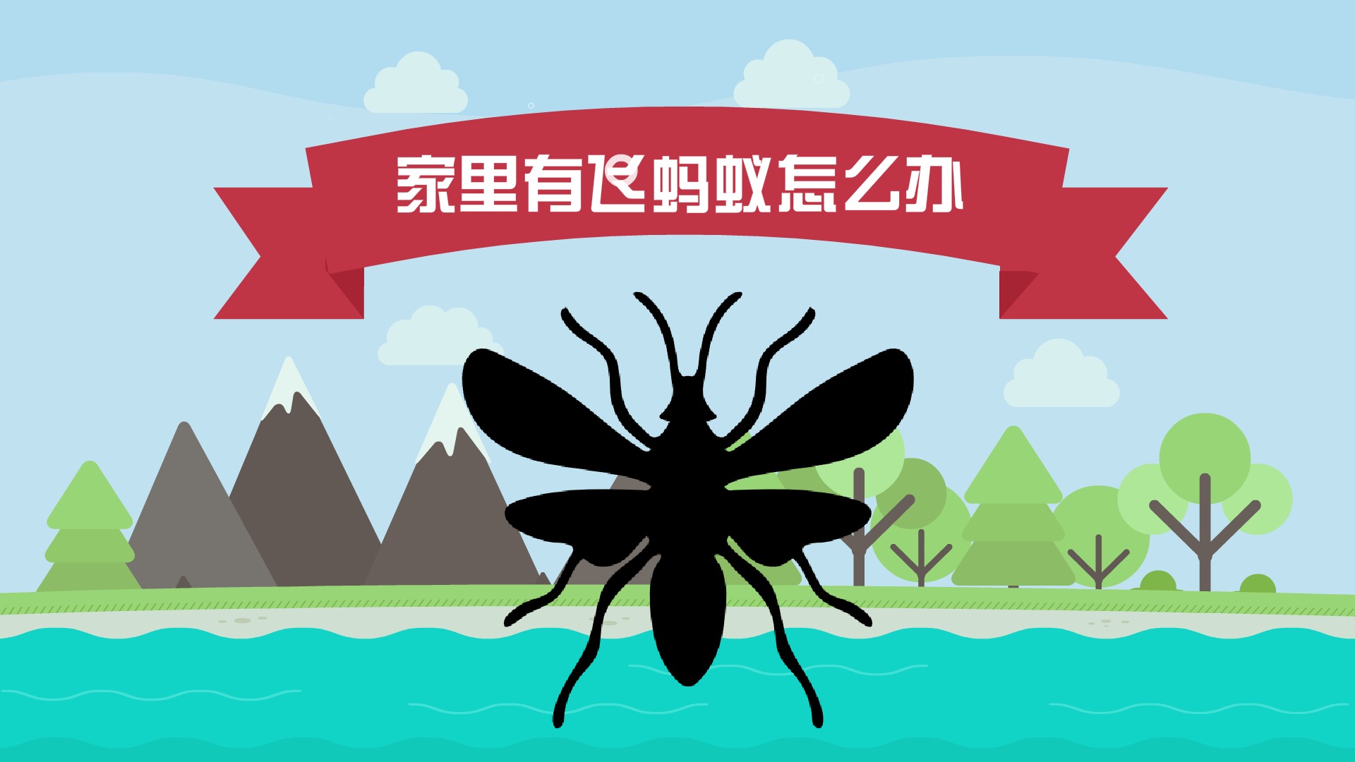 飞蚁怎么出现在家里呢，家里出现飞蚁怎么消灭