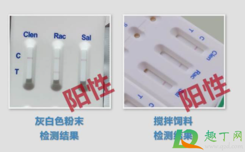 瘦肉精羊肉怎样识别3