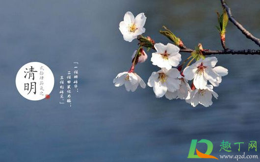 2021年复活节和清明节重和世界会出现丧尸吗2