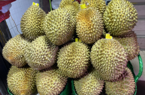 每周吃一个榴莲胸大了真的假的1