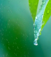 2023年上半年雨水多还是下半年雨水