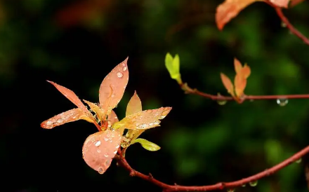 2023清明节不下雨好不好有啥预兆1