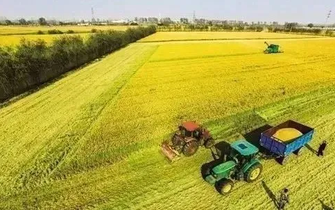 2023粮食补贴是国家直接发放吗2