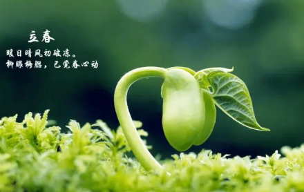 2023立春之后还要冷多久才能到春天1