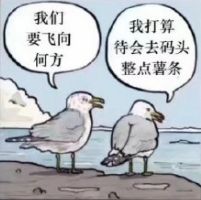 去码头整点薯条啥梗是什么意思5